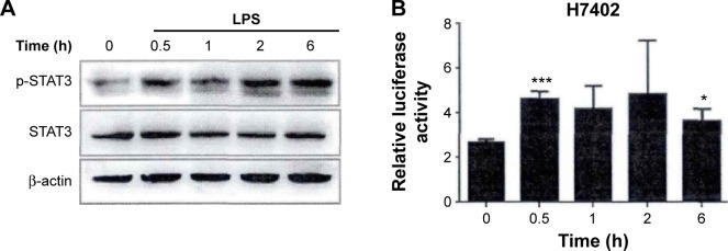 Figure 7