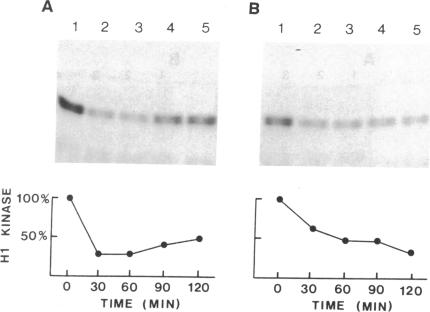 graphic file with name pnas01063-0327-a.jpg