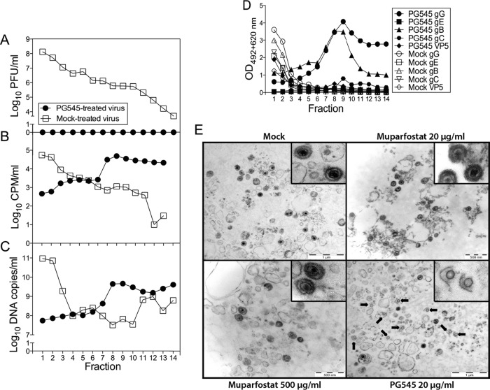 FIG 2