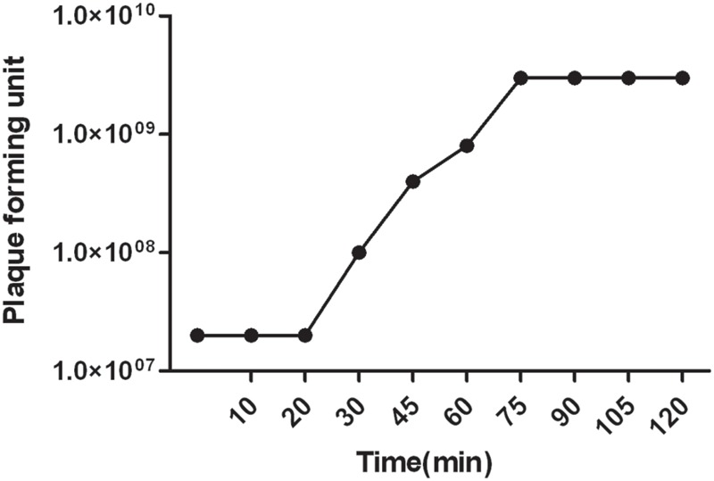 FIGURE 2