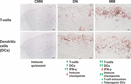 graphic file with name nihms-993428-f0001.jpg