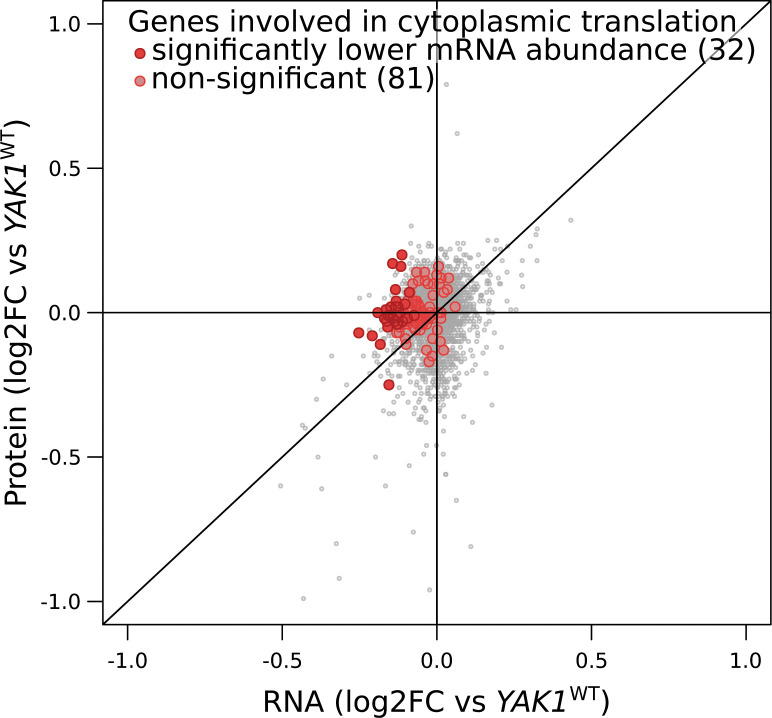 Figure 7—figure supplement 1.