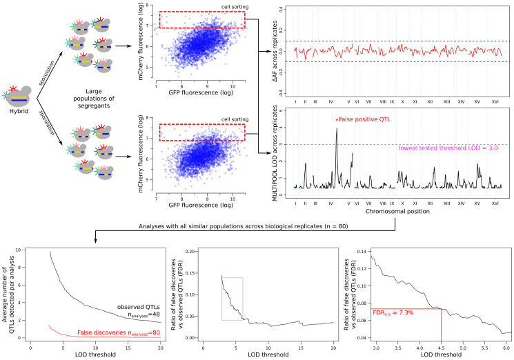 Figure 4—figure supplement 1.