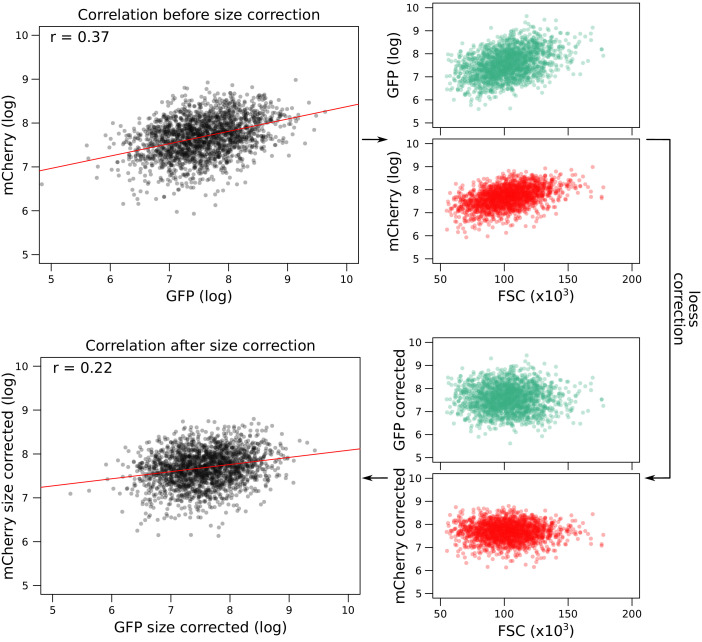 Figure 3—figure supplement 2.