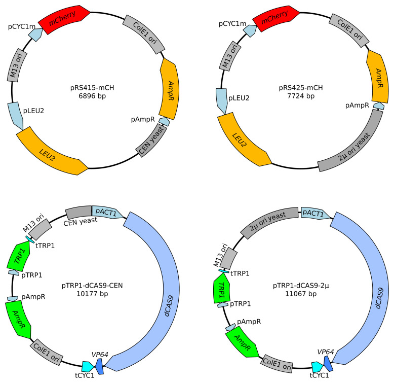 Figure 2—figure supplement 3.