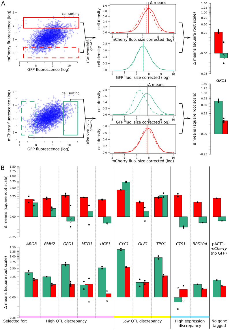 Figure 3—figure supplement 3.