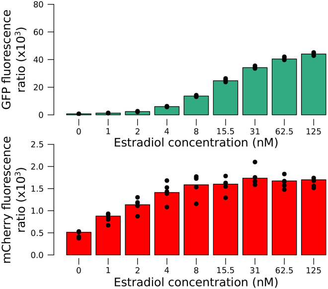 Figure 2—figure supplement 1.