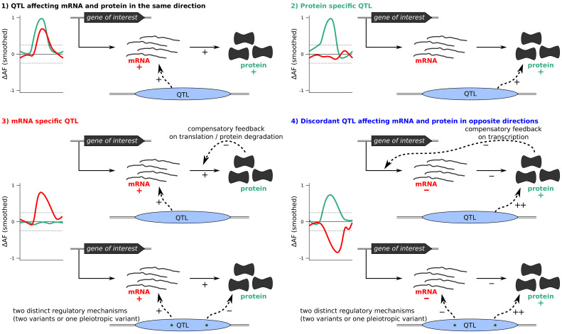 Figure 5—figure supplement 1.