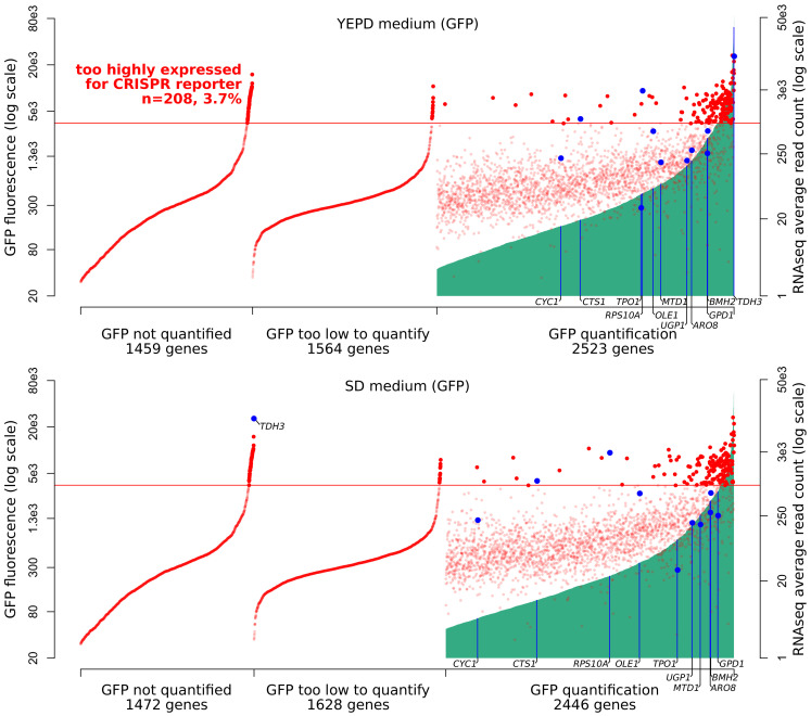 Figure 2—figure supplement 4.