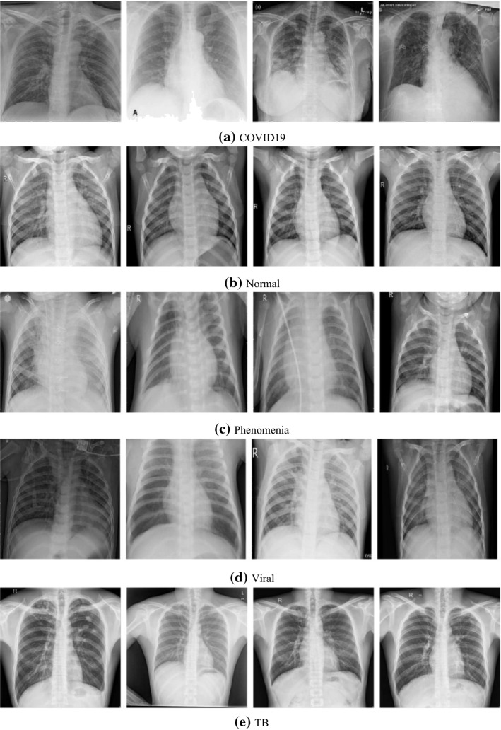 Fig. 5