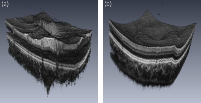 Fig. 12