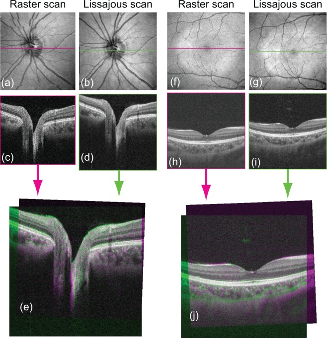 Fig. 7