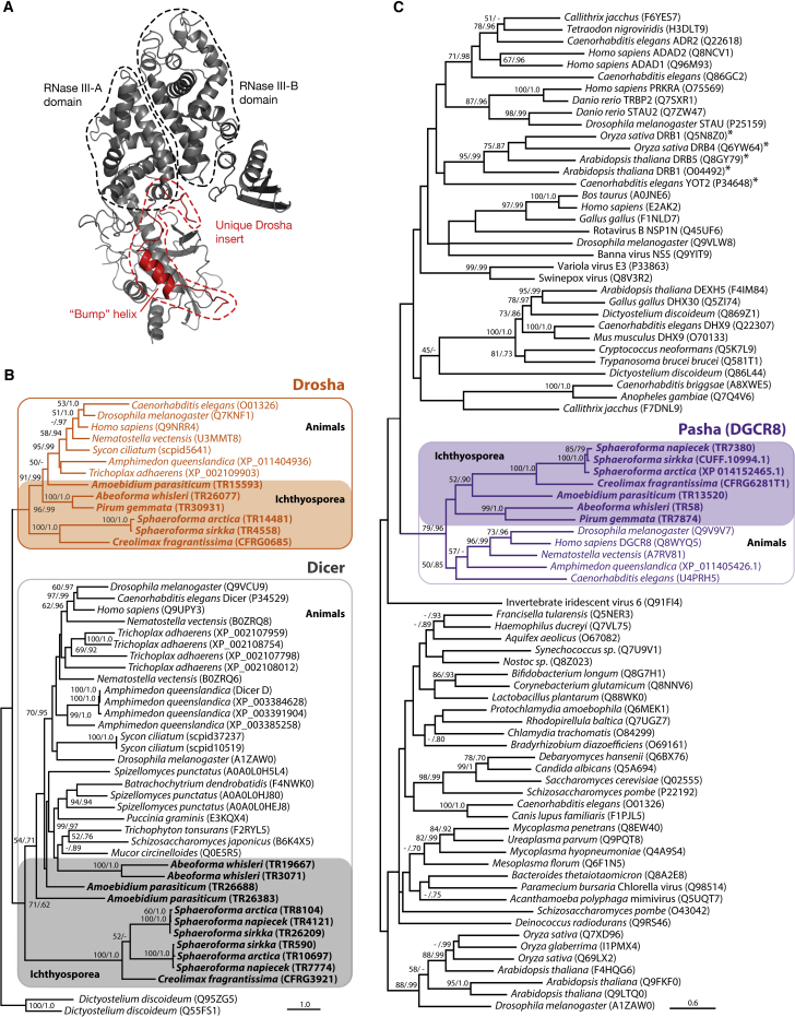 Figure 3