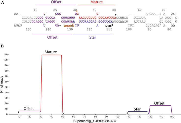 Figure 4