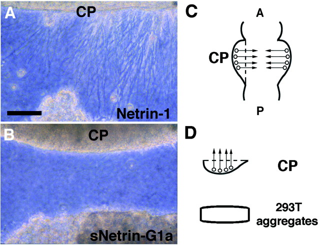 Fig. 9.