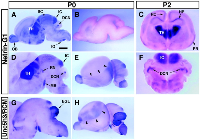 Fig. 6.