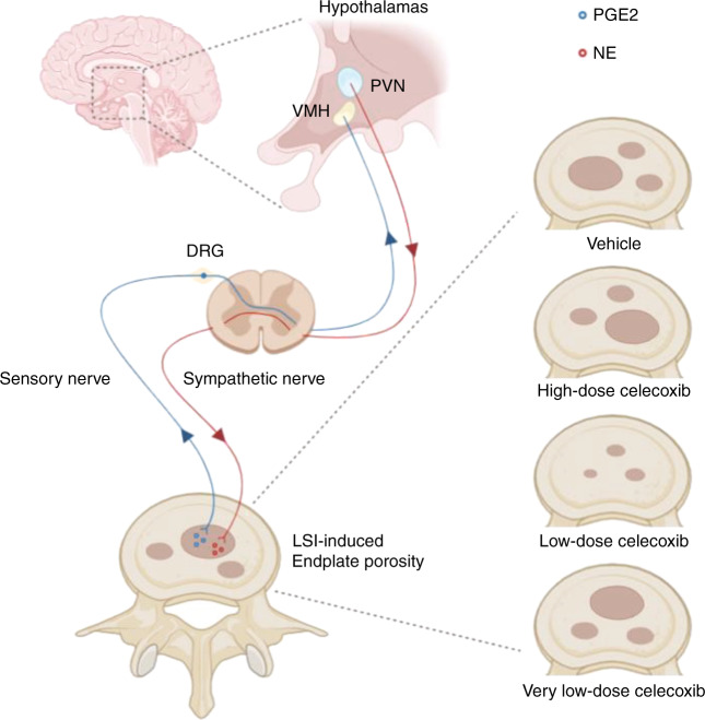 Fig. 10