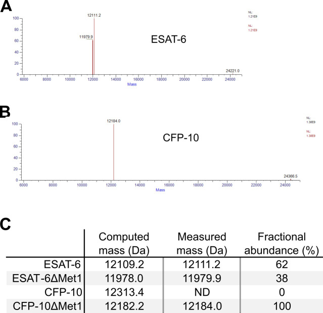 Figure 1—figure supplement 2.