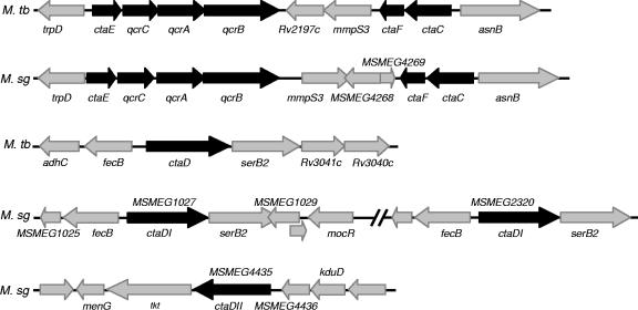 FIG. 1.