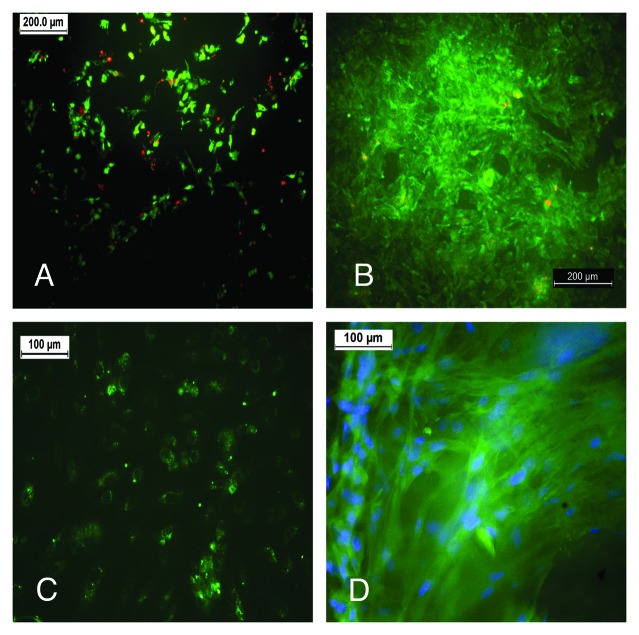 Figure 14.