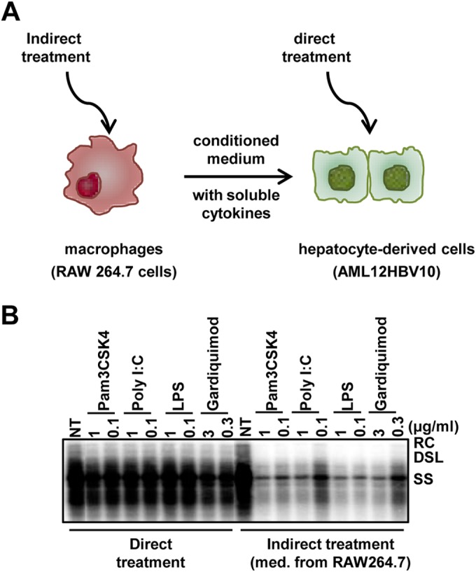 FIG 1