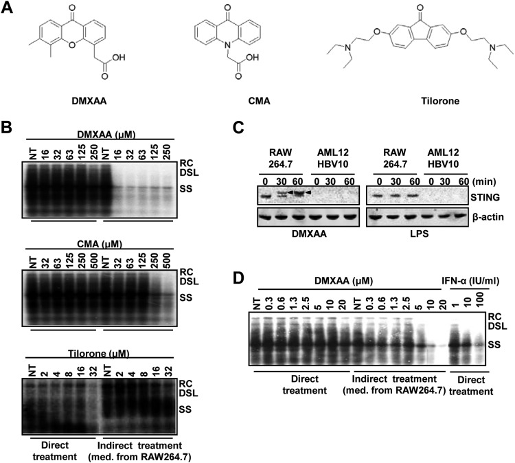 FIG 2