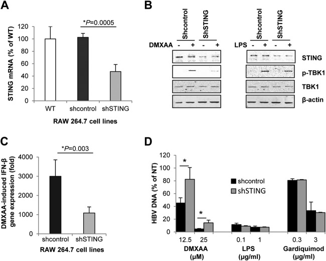 FIG 6