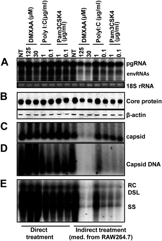 FIG 3