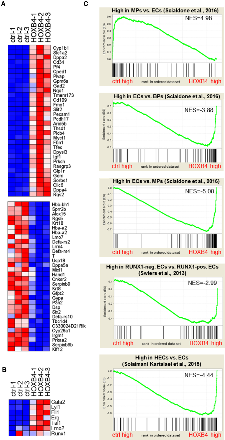 Figure 6