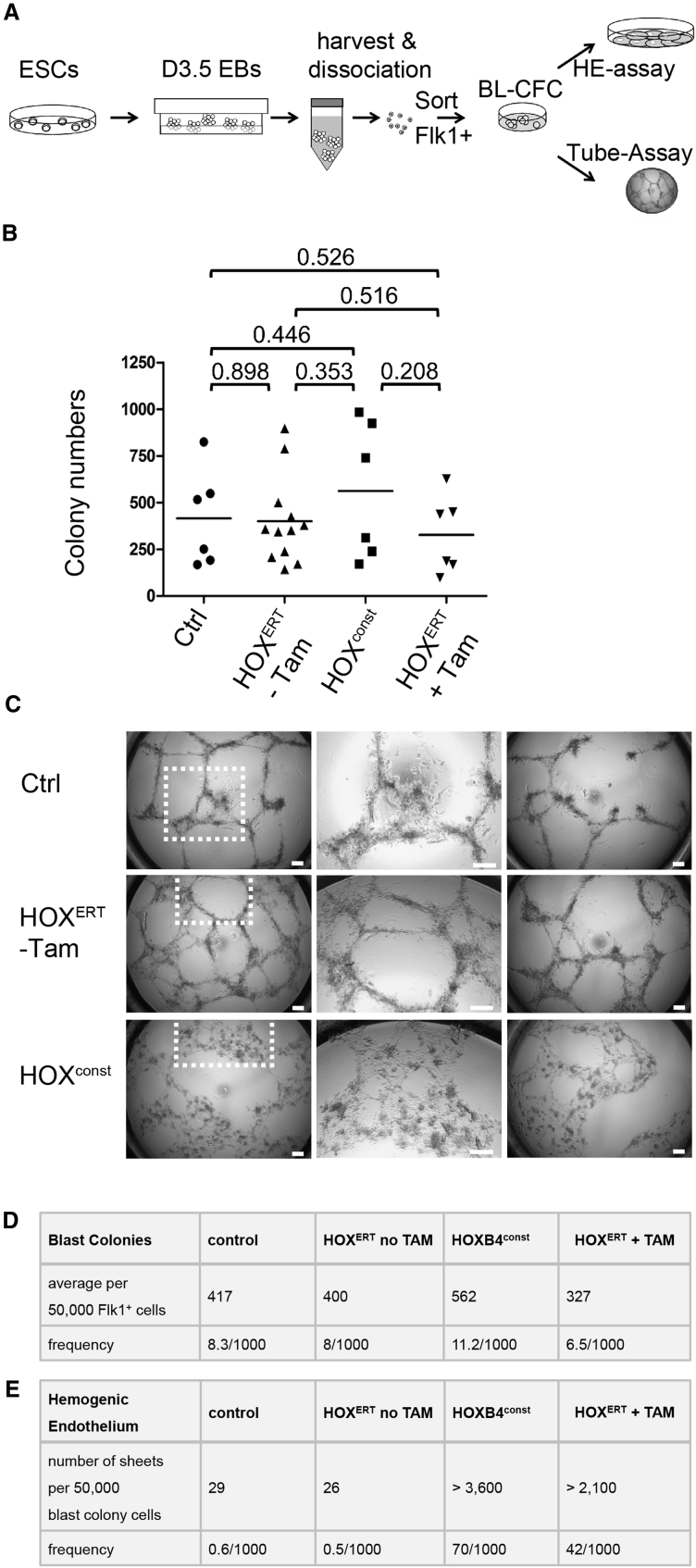 Figure 3