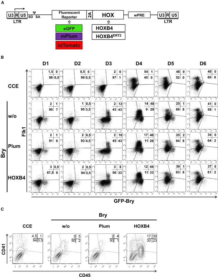 Figure 1