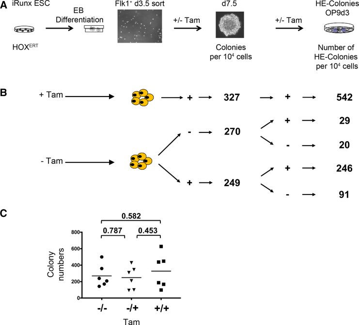 Figure 4