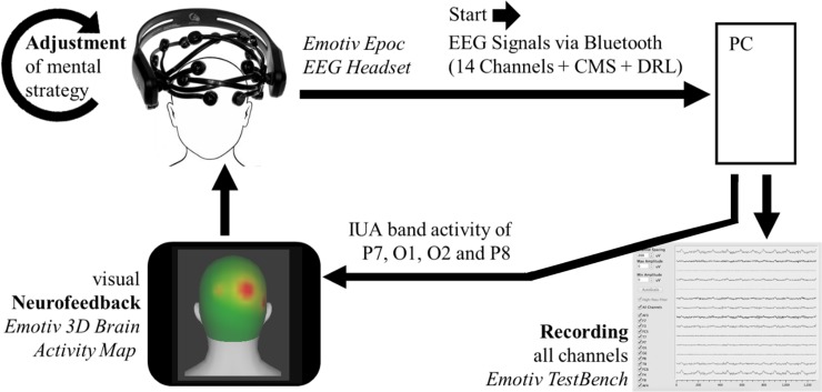 Fig 3