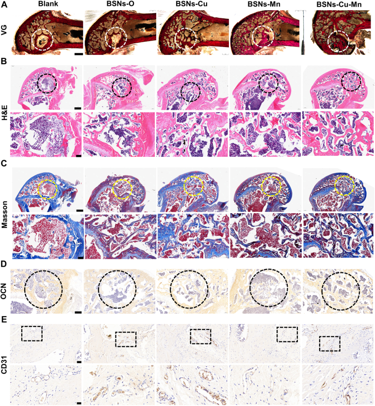 Fig. 6