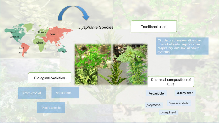 graphic file with name FPHAR_fphar-2022-1024274_wc_abs.jpg