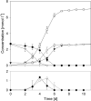FIG 2