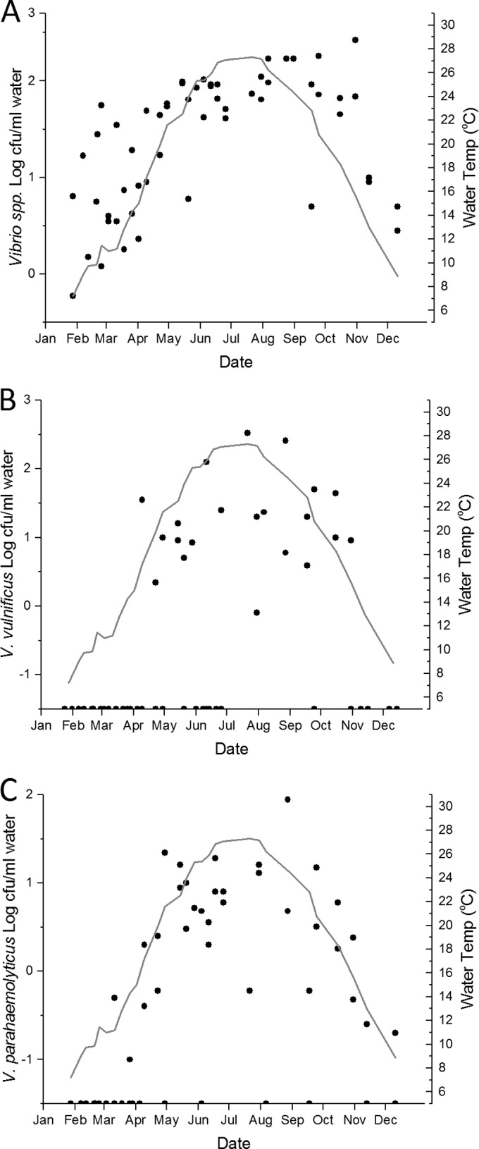 FIG 2