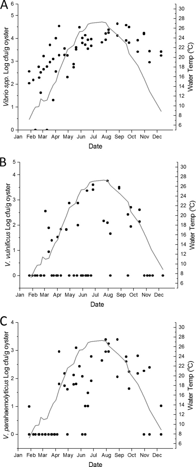 FIG 3