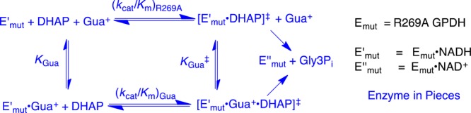 Scheme 5