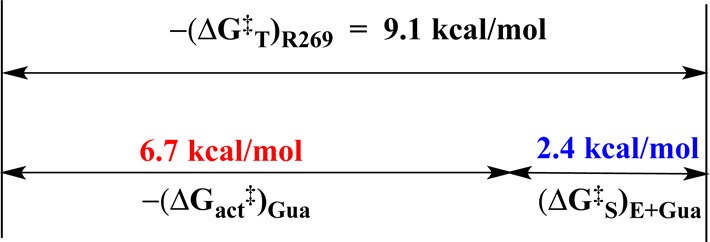 Scheme 6