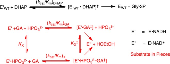 Scheme 3