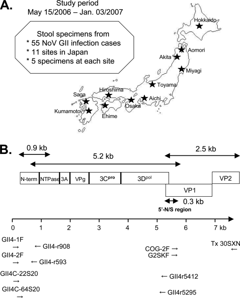 FIG. 1.