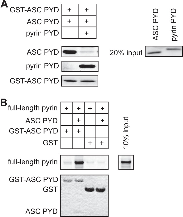 FIGURE 7.