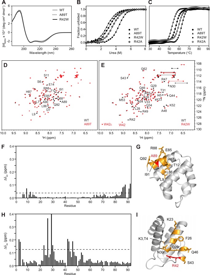 FIGURE 10.