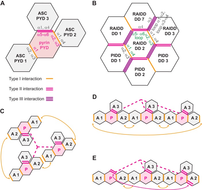 FIGURE 11.