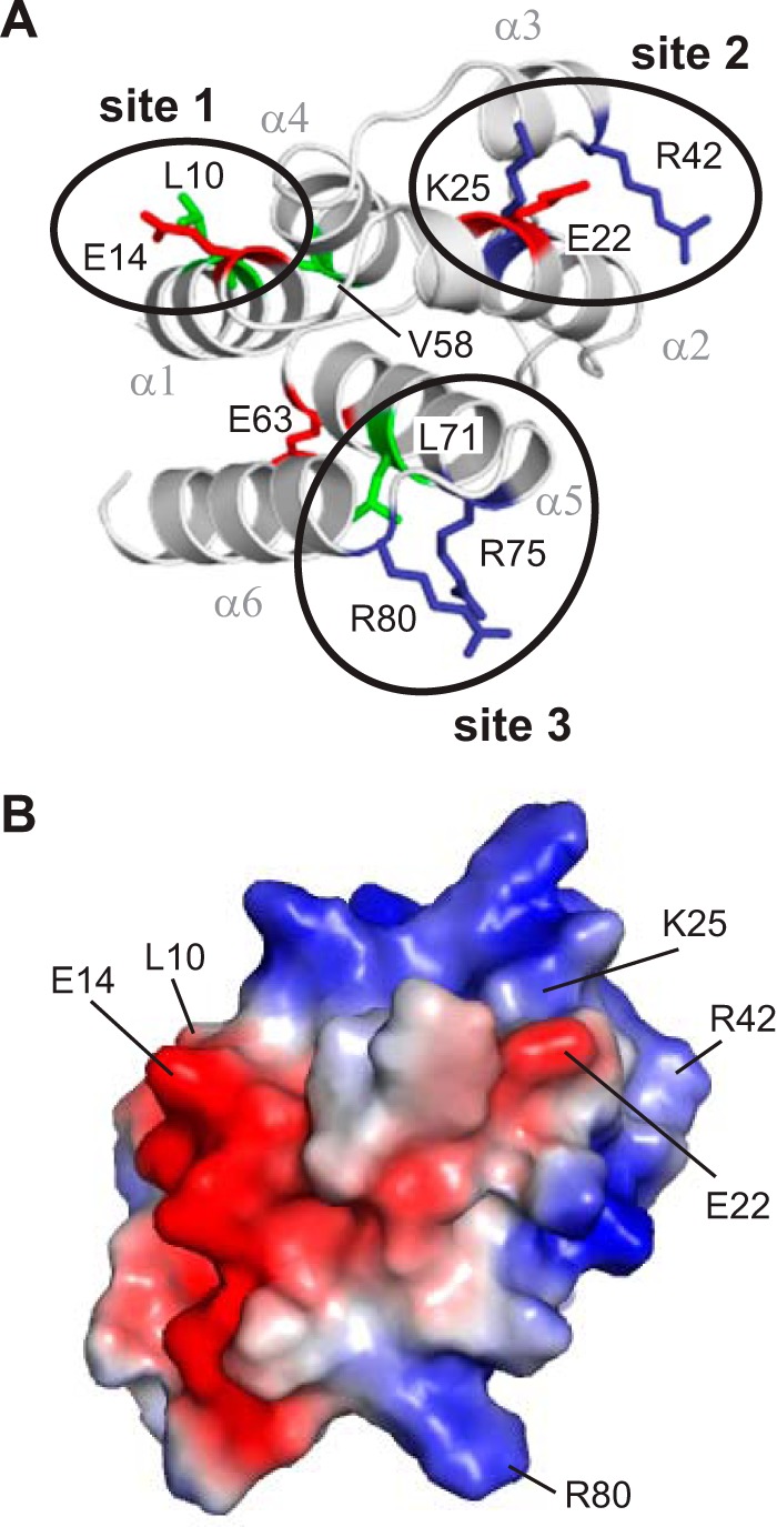 FIGURE 2.