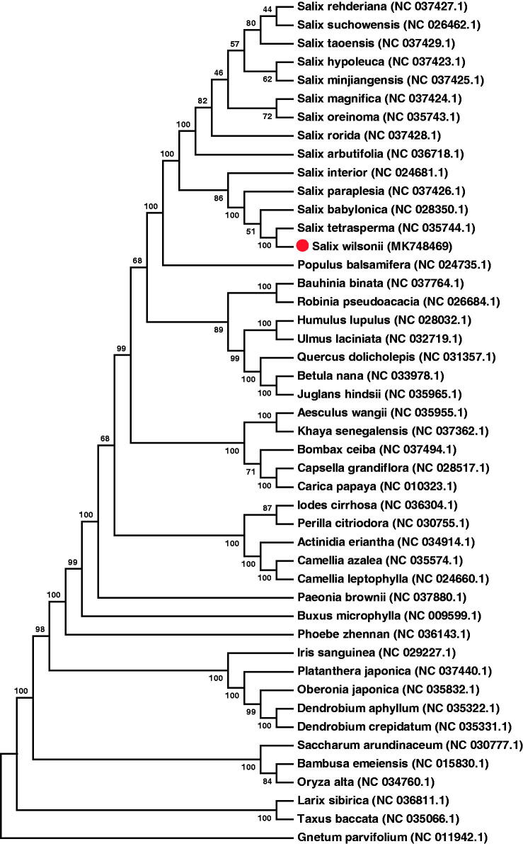 Figure 1.