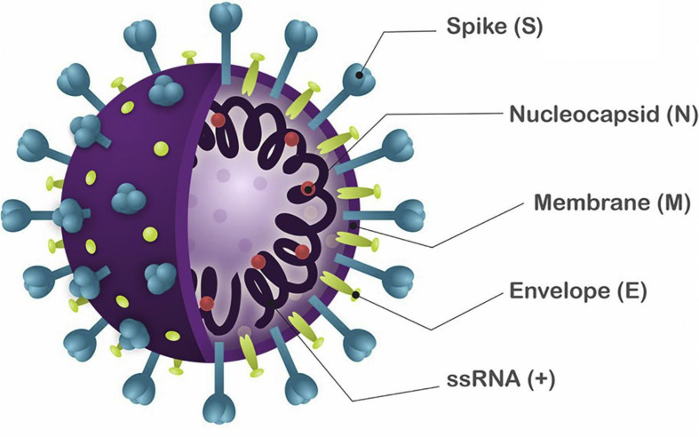 Figure 1