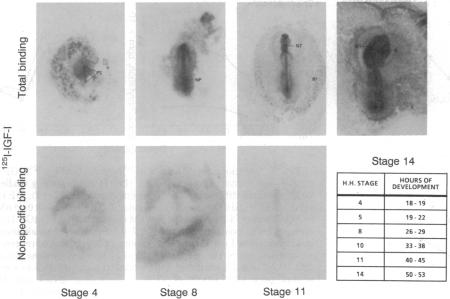 graphic file with name pnas00282-0209-a.jpg