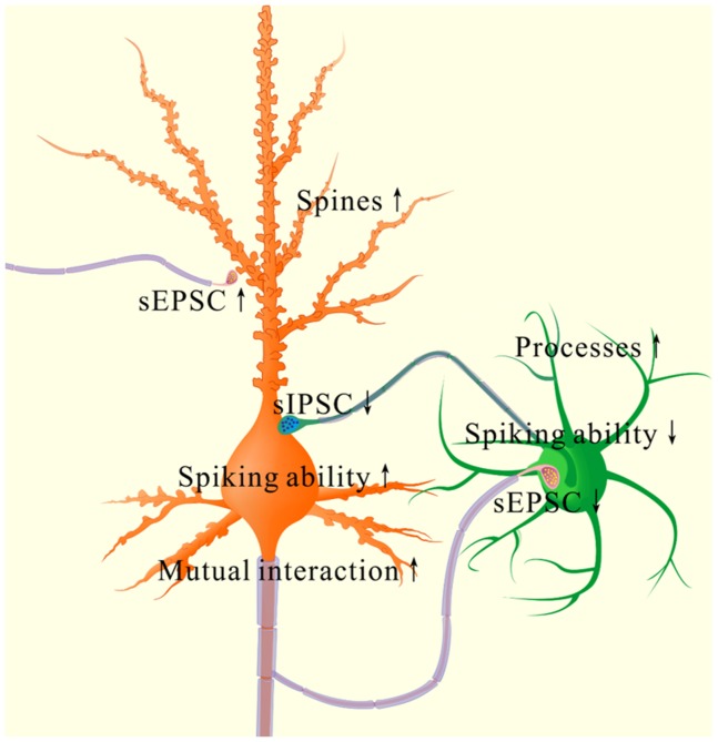 Figure 12